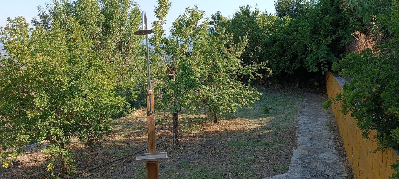 House In Zaloggo Villa Preveze Dış mekan fotoğraf