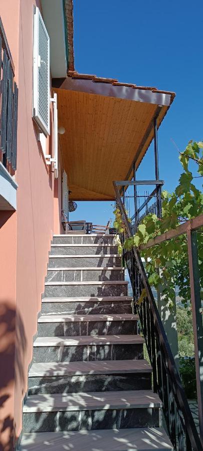 House In Zaloggo Villa Preveze Dış mekan fotoğraf